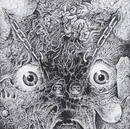 7inch Vinyl Single - Insect Warfare And The Kill - RSR Presents The 48 Second Split Flexi - Red Vinyl, Flexi-disc