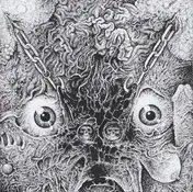 Insect Warfare - RSR Presents The 48 Second Split Flexi