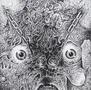 Insect Warfare And The Kill - RSR Presents The 48 Second Split Flexi