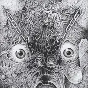 7inch Vinyl Single - Insect Warfare And The Kill - RSR Presents The 48 Second Split Flexi - Red Vinyl, Flexi-disc