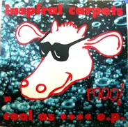 Inspiral Carpets - Cool As  EP