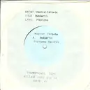 7inch Vinyl Single - Inspiral Carpets - Butterfly - Promo, White Label, Stamped Sleeve