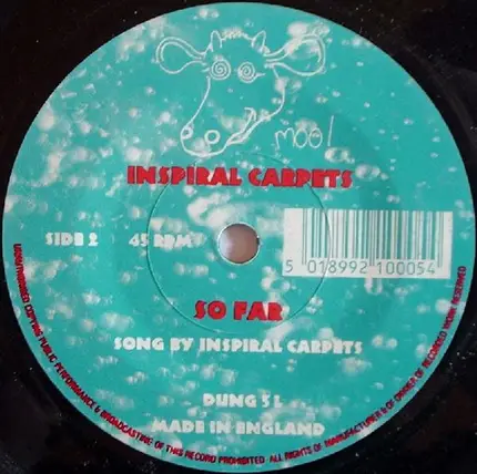Inspiral Carpets - Find Out Why