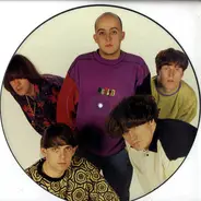 Inspiral Carpets - The Peel Sessions