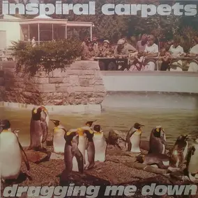 Inspiral Carpets - Dragging Me Down