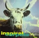 12'' - Inspiral Carpets - She Comes In The Fall