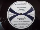 12inch Vinyl Single - Intastella - Arise