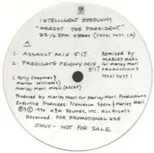 Intelligent Hoodlum - Arrest The President