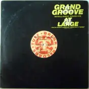 Intelligent Hoodlum - grand groove