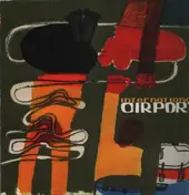 INTERNATIONAL AIRPORT - Reunion of Island Goose