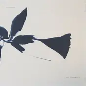 Internazionale - Elegy For The Victors