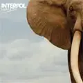 Interpol - Mammoth