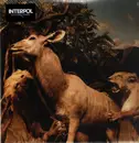 Double LP - Interpol - Our Love To Admire