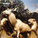 Double LP - Interpol - Our Love To Admire