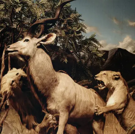 Interpol - Our Love to Admire