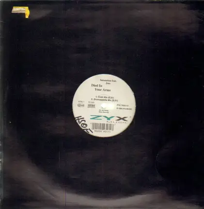 Intonation Feat. Joée - Died In Your Arms