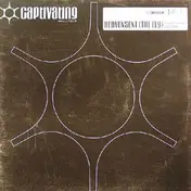 Intoxica - Heavensent (The Fly)