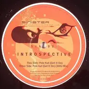 Introspective - Pole Kat (Get It On)