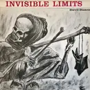 12inch Vinyl Single - Invisible Limits - Devil Dance - Red Labels