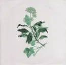 CD - Isaac Vallentin - Hedera