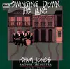 CD - Isham Jones Orchestra - Swinging Down The Lane (1923-1930)