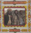 LP - Israel Vibration - Praises
