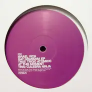 Israel Vich - GAY GRANDMA EP