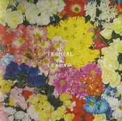 Is Tropical - I'm Leaving