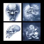 Double LP - Iron Maiden - The Final Frontier - Picture Disc, Ltd Ed