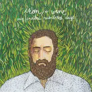 Iron And Wine - Our Endless Numbered Days