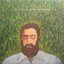 LP - Iron And Wine - Our Endless Numbered Days