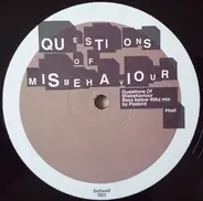 Iron K - Questions Of Misbehaviour