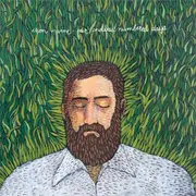LP - Iron & Wine - Our Endless Numbered Days - BONUS 7''
