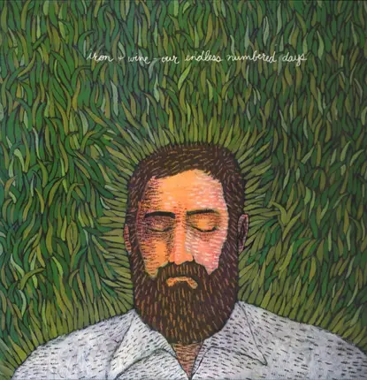 Iron & Wine - Our Endless Numbered Days