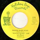 7inch Vinyl Single - Ironing Board Sam - Raining In My Heart