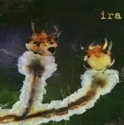 Ira - BODY & THE SOIL