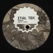 Ital Tek - Gonga
