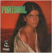 Ivan Lins - Pantanal