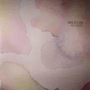 Double LP - Ivano Tetelepta - True Colours