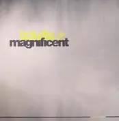 Iz & Diz - Magnificent