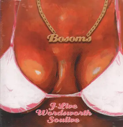 J-Live / Wordsworth / Soulive - Bosoms