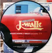 LP - J-Walk - Shake Down - PICTURE DISC