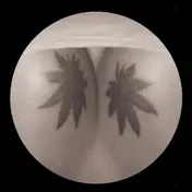 J. Albert - Small Room EP