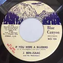 7inch Vinyl Single - J. Ben Isaac And The Waterbears - If You Were A Bluebird