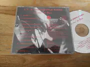 CD - J. J. and the Shuffle Kings - ... just doin' the Blues