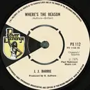 7inch Vinyl Single - J. J. Barrie - Where's The Reason