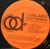 12inch Vinyl Single - J. J. Orlando - I Can't Believe