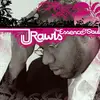 Double LP - J. Rawls - The Essence Of Soul