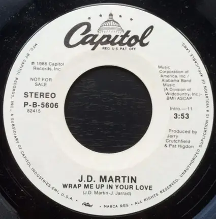J.D. Martin - Wrap Me Up In Your Love