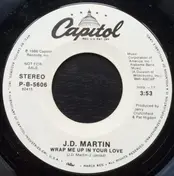 J.D. Martin - Wrap Me Up In Your Love